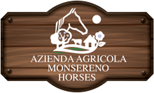 Azienda Agricola Monsereno Horses